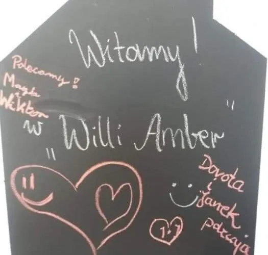 Amber Ostrowo (Puck)