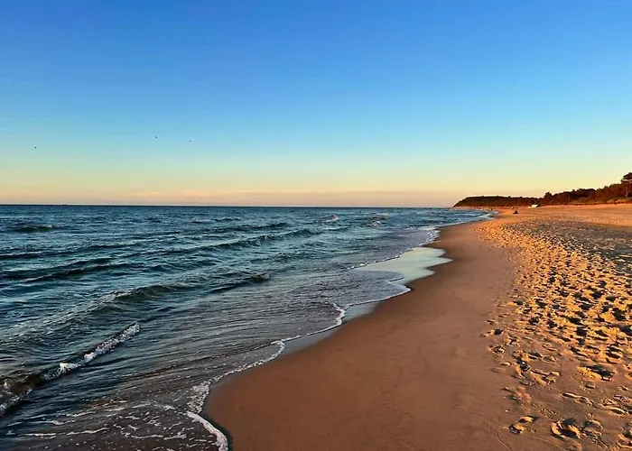 Amber Ostrowo (Puck)